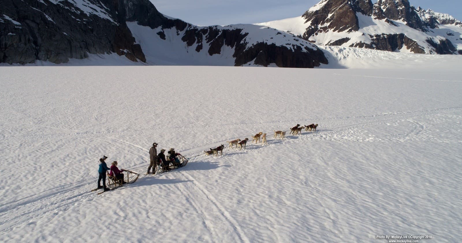Dog Sled Tour