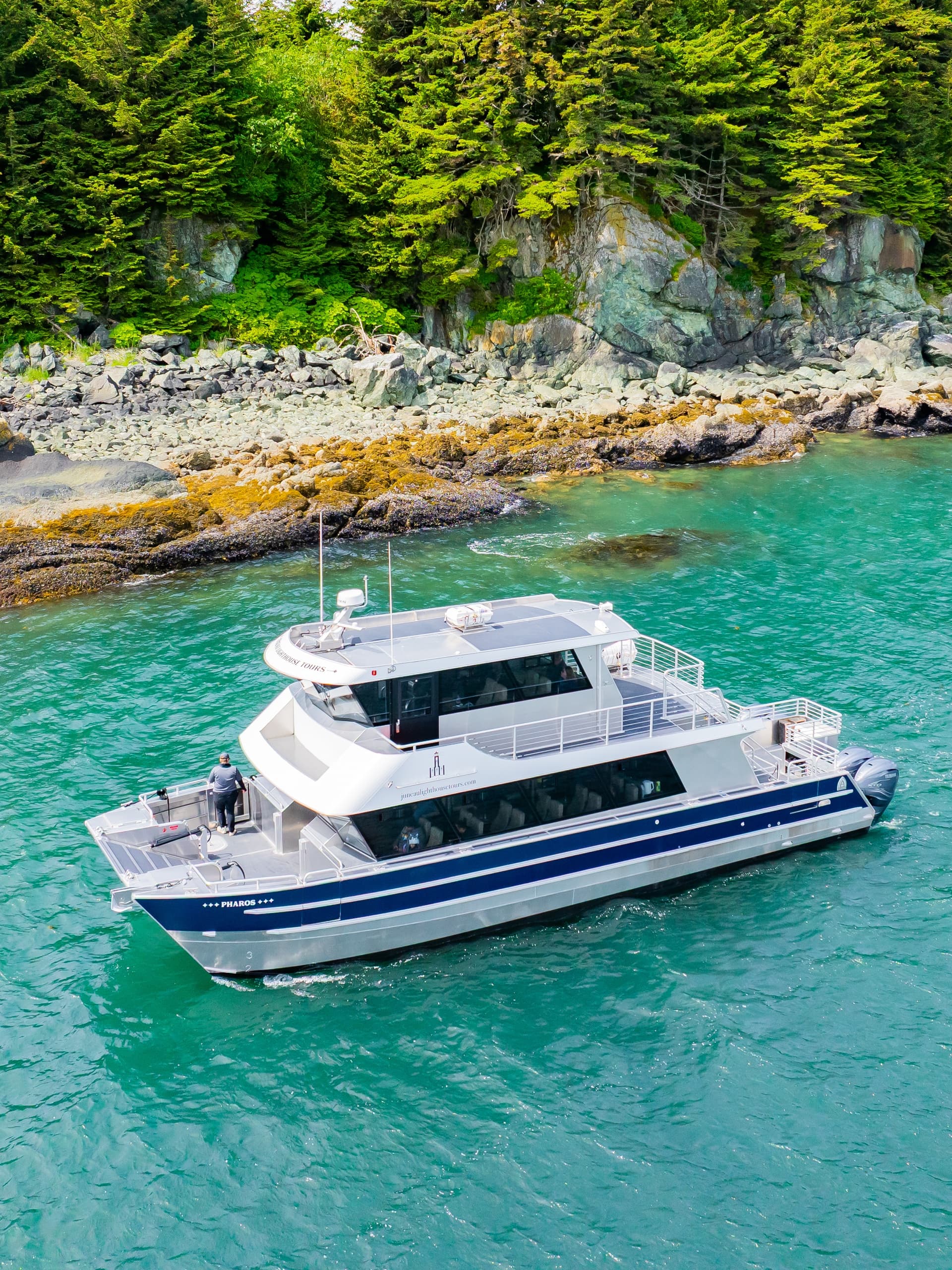 Premier Catamaran Whale Watch