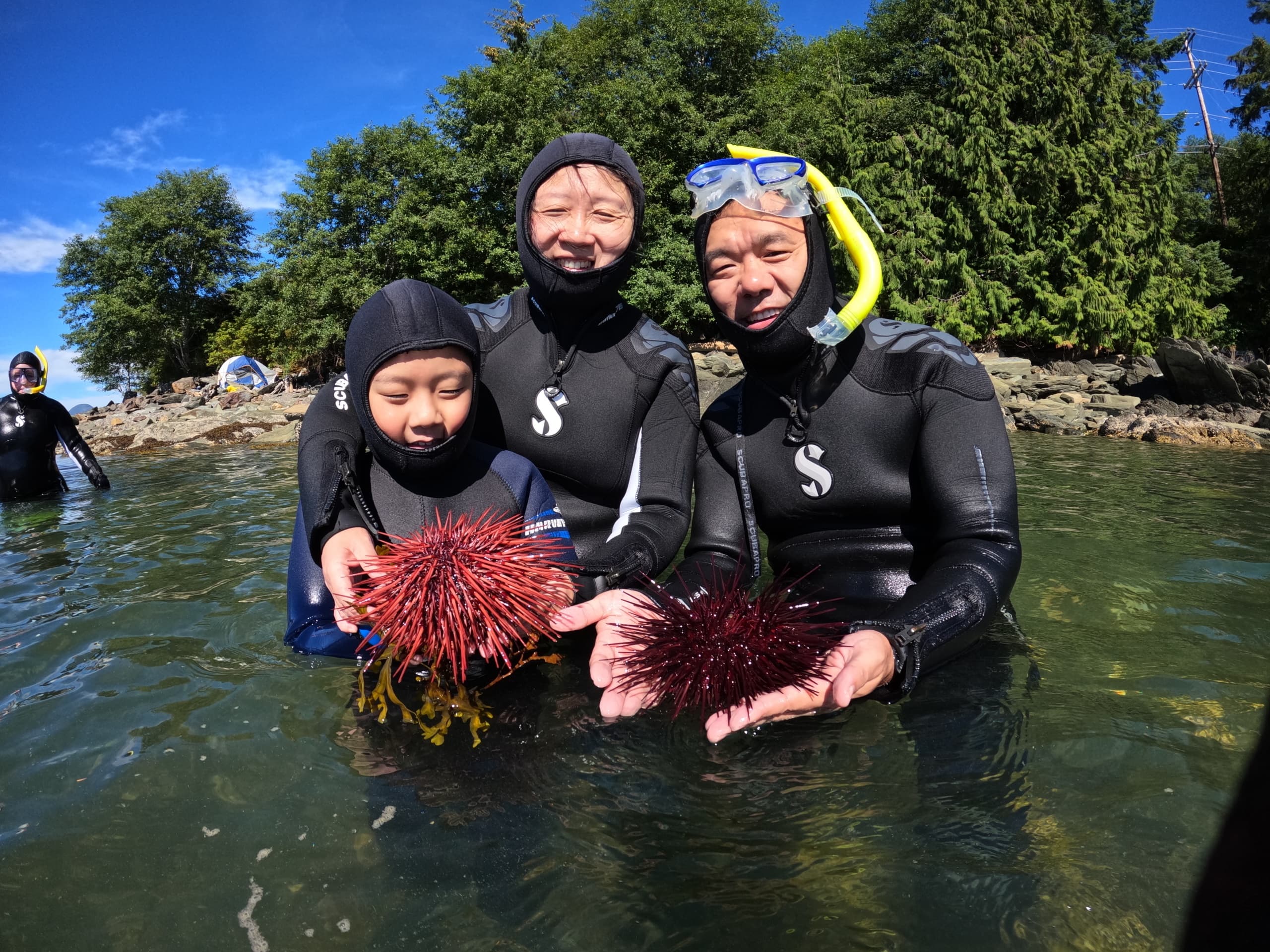 The Mountain Point Snorkeling Adventure